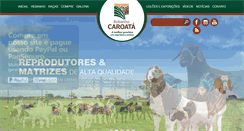 Desktop Screenshot of caroata.com.br